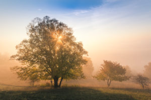 Sunrise at the Leuchtenburg, fog, autumn, Thuringia, Germany Sunrise at the Leuchtenburg, fog, autumn, Thuringia, Germany
